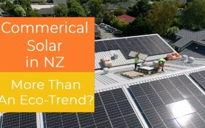 Commercial Solar in NZ: More Than An Eco-Trend?