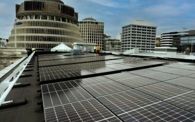Free Solar Panels: The Missed Opportunity for New Zealand’s Government